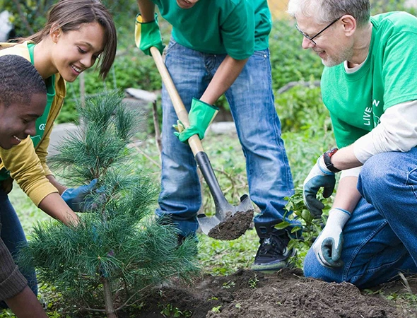 Expert Tree Planting Services in Bryan, TX