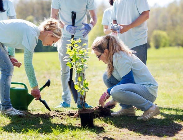 Residential Tree Planting Services in Bryan, TX