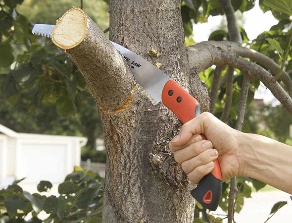 Best Deadwood Removal Services in Franklin, TX