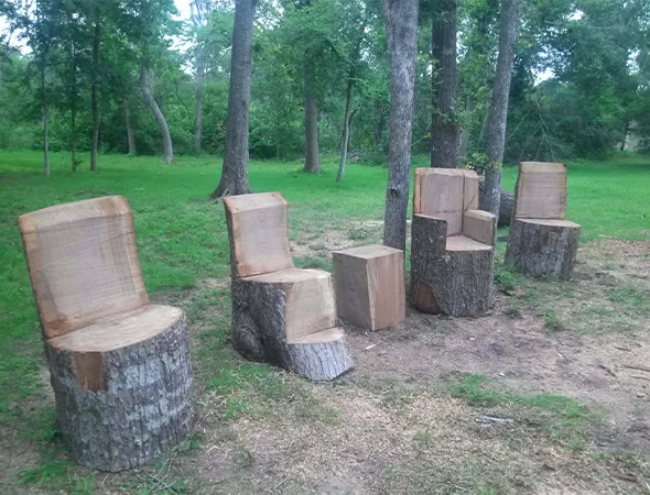 Benefits of Hiring Our Tree Removal Company