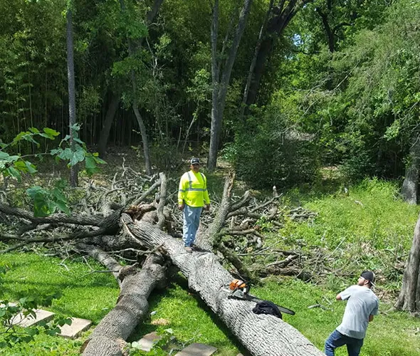 Why Choose Us - Brazos Valley Stump Grinding and Tree Service